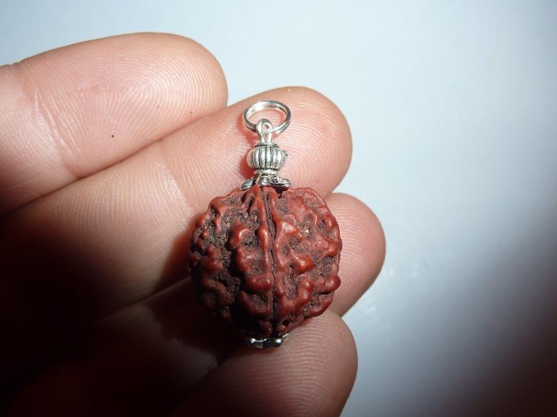 Pendentif en rudraksha perles 17 mm à 19 mm